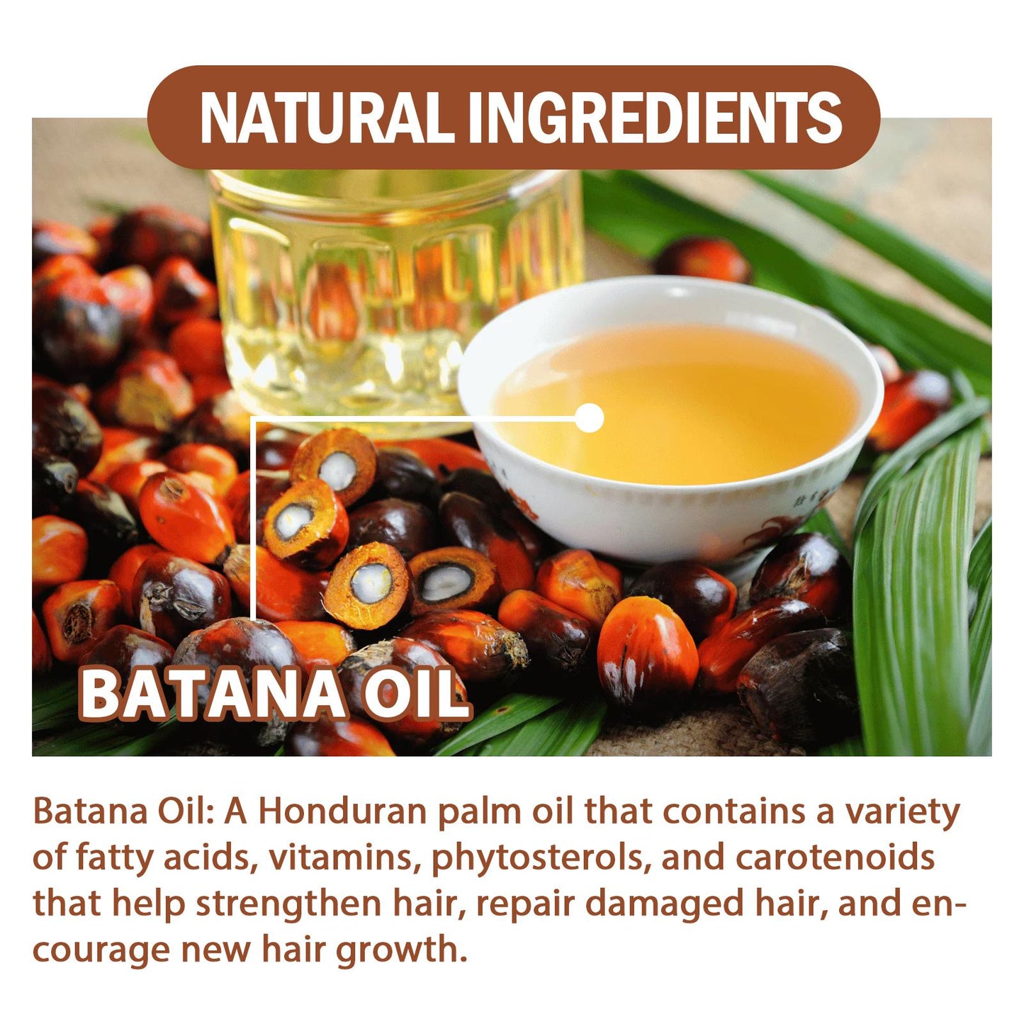 Natural Hair Regrowth Oil for Thick & Healthy Hair featuring Batana Oil and natural ingredients.